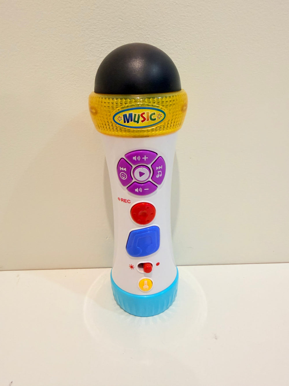 Musical Recording Microphone