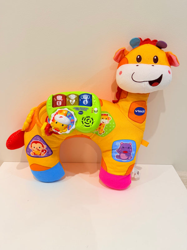 Vtech Tummy Time Discovery Pillow