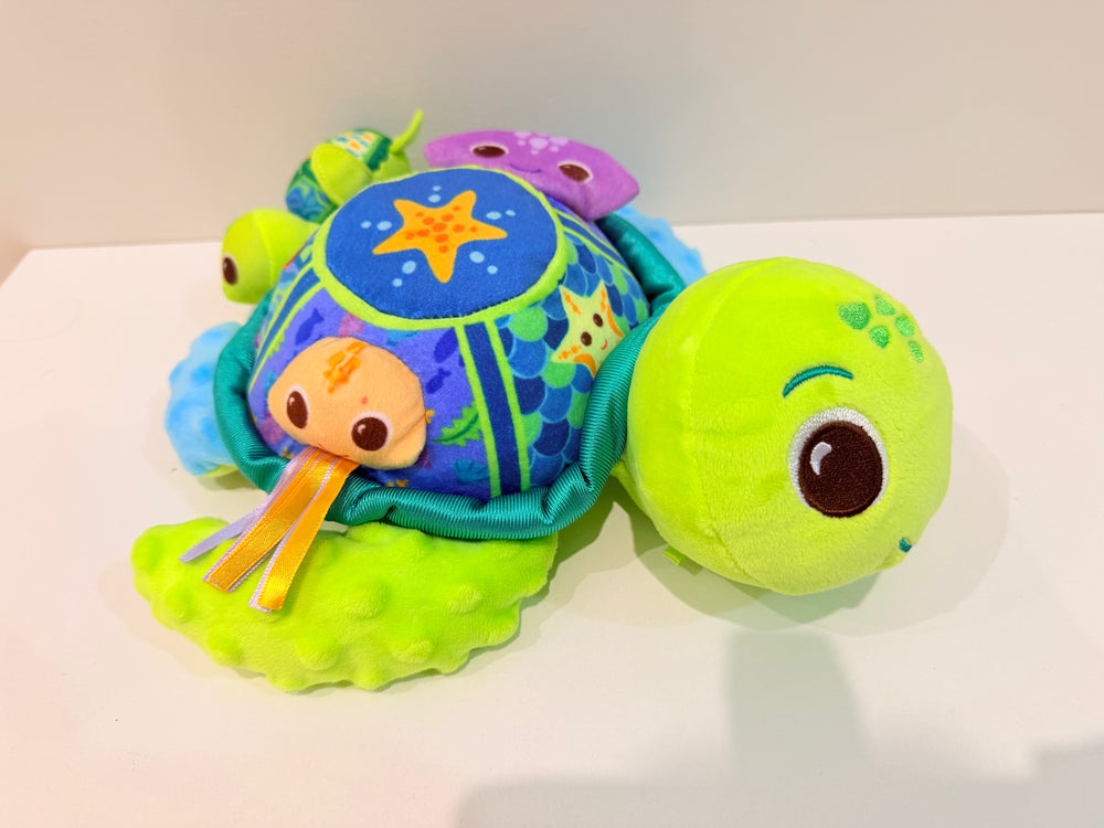 Vtech Soft Discovery Turtle