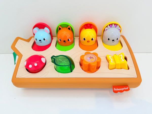 Fisher Price Hide & Seek Pop Up